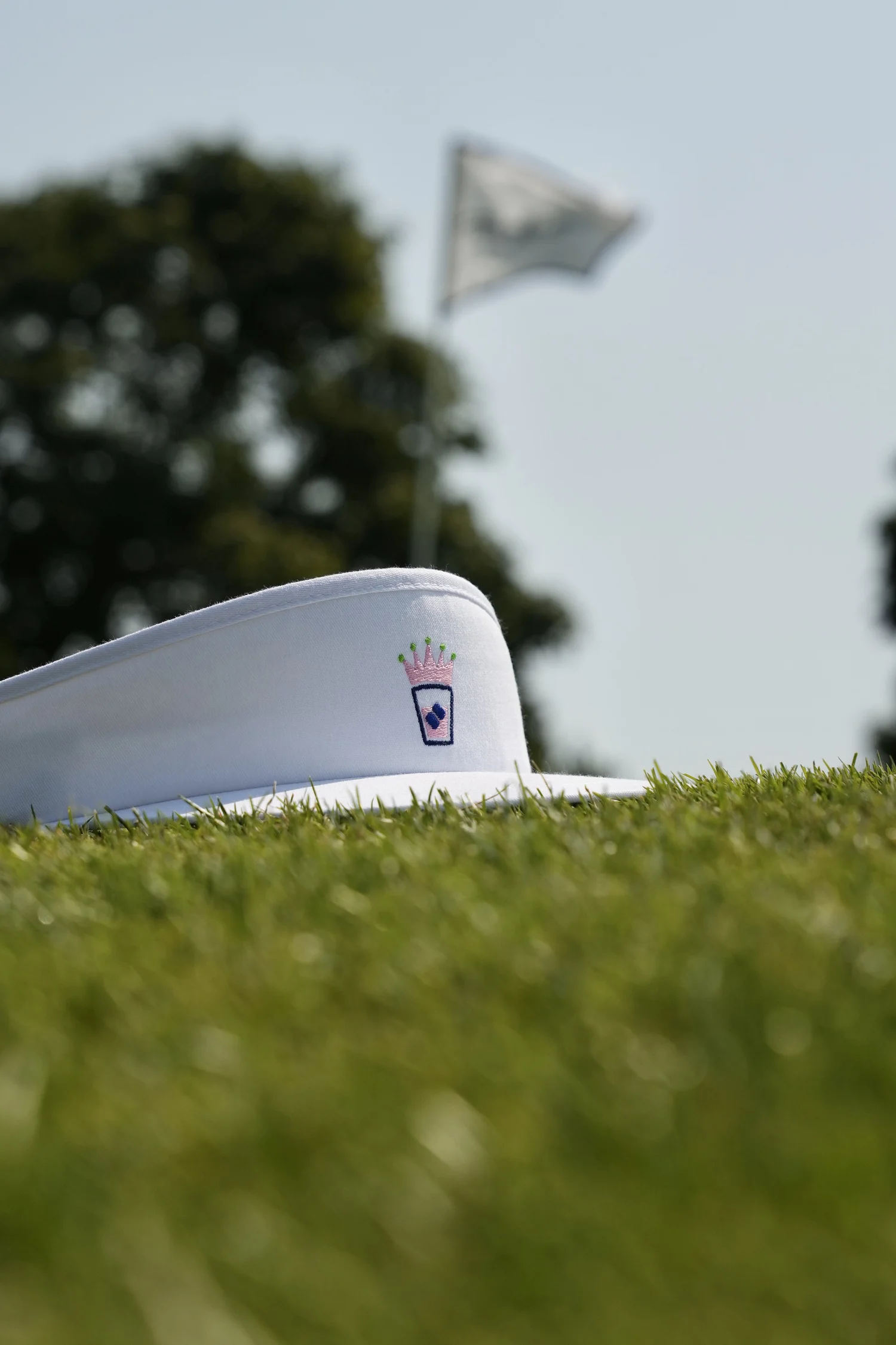 A VIZR visor